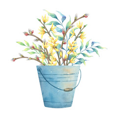 Metal bucket with pussy willow, forsythia, and green branches - spring watercolor clipart