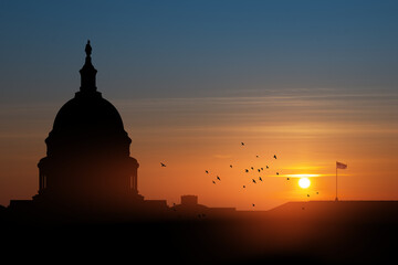 The United States Capitol building silhouette on background of sky at sunset with flying birds in Washington DC, USA