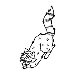 curious woodland raccoon sketch