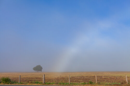 half a fogbow mistbow shining in light mist over rural paddock in farmland