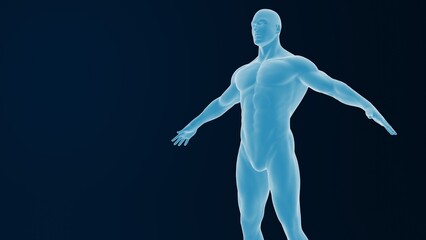 Translucent male human body on a dark background