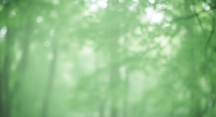 Out of focus green foliage and trees creating an abstract and dreamy nature background image effect