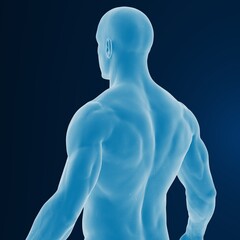 Digital 3D illustration of a male figure.