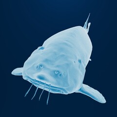Digital 3D rendering of a catfish on a blue background.