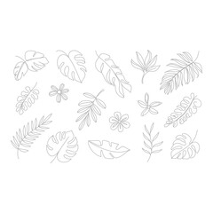 Botanical line art of tropical leaves isolated on white background