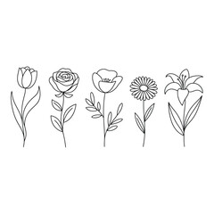 Line art of various flowers isolated on white background