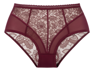 Elegant burgundy highwaisted panties featuring floral lace details and sheer mesh panels on a backdrop for fashion and intimate apparel collections