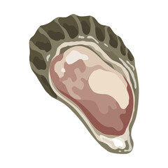 Oyster. Sea shell, cartoon icon. Ocean exotic underwater sink seashell aquatic mollusk. Tropical beach shells. Vector cartoon illustration