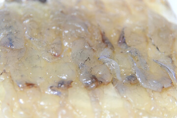 puffer fish sashimi on the dish