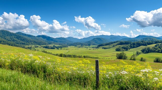 A breathtaking hyperlapse view of rolling hills and vibrant wildflowers in rural Kentucky countryside under a bright summer sky showcasing the beauty of Appalachian landscapes.