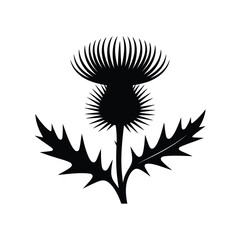 Black silhouette of a scottish thistle flower