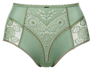 Elegant light green highwaisted panties with intricate floral lace appliqu? details for womens fashion and underwear product photography display