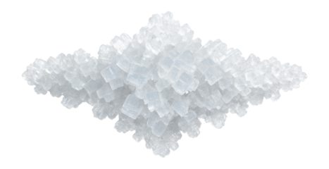 Marine iguana's nasal gland excretion crystals illustrating salt regulation