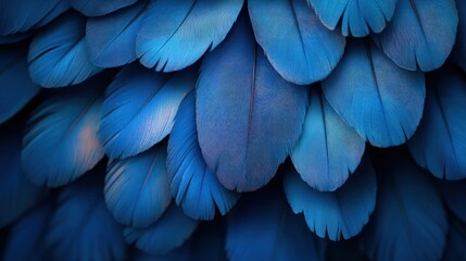 Close-up of vibrant blue feathers