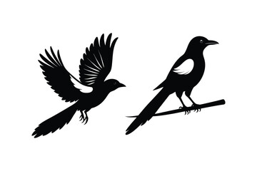 Obraz premium Set of Magpie Silhouette vector, Black Magpie Silhouette 
