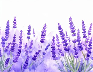 Close-up of vibrant purple lavender flowers blooming in a summer garden, set against a soft, natural background