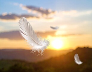 White feather flying in the orange sunset sky