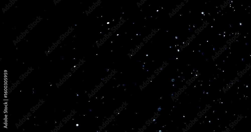 Wall mural natural organic dust particles floating on black background. dynamic dust particles randomly float i
