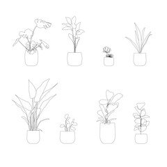 set of flowers and plants