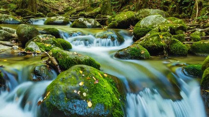 Cinematic 4K slow motion footage of water rippling across mossy rocks in a forest stream - Powered by Adobe