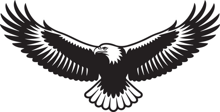 black and white eagle soaring wings spread clip art preview