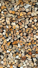 Wall of stacked hardwood firewood, firewood texture.