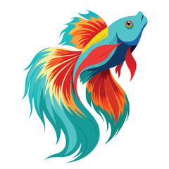 Fototapeta premium A graceful colorful betta fish swimming with flowing fins, on a clean white background, capturing its elegant movement.
