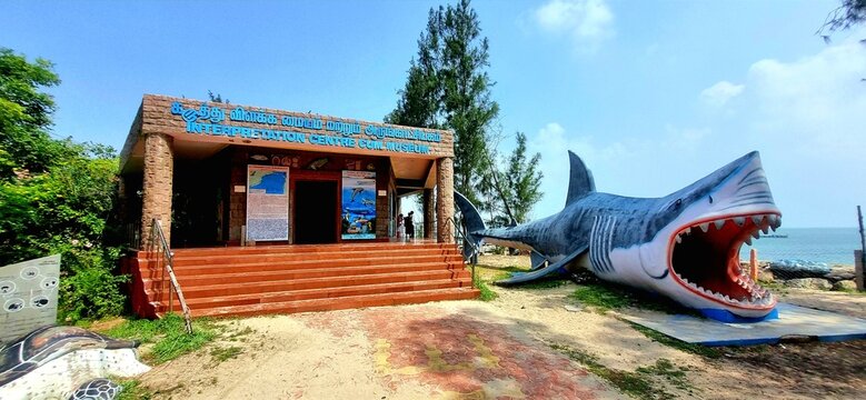 Pamban, Rameshwaram, Tamilnadu - January 15 2025: The Interpretation Centre cum Museum at the Gulf of Mannar, featuring a large shark model near the seashore, aims to raise awareness about marine life