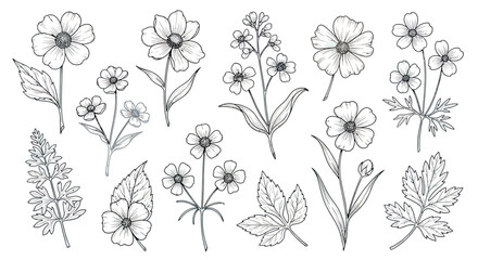 Floral Vector Illustration with Hand Drawn Flower Elements in Black and White Line Art