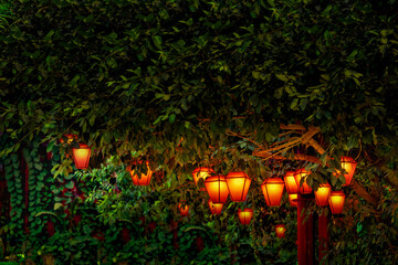 A colorful bunch of beautiful lanterns are hanging from a tree