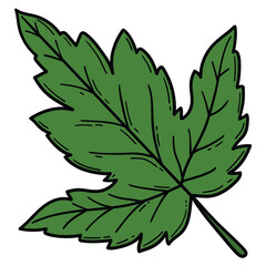 Hand drawn cartoon green leaf on white background.
