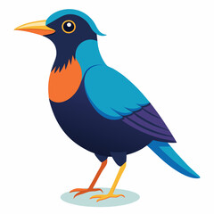 Vector art of a colorful bird with blue orange purple feathers stands on a white