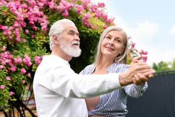 Lovely senior couple dancing near bush of pink roses outdoors