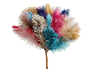 A vibrant bouquet of dried pampas grass feathers in various colors isolated on transparent background