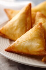 Golden, crispy triangular pastries arranged on a plate.