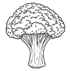 Broccoli line art simple clean design organic fresh