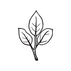 Carob Tree Leaves line art simple clean organic shape