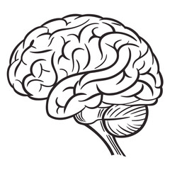Black brain outline on white human brain anatomy
