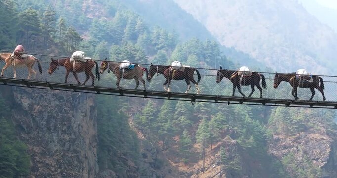 Drone shot of Hillary Bridge enroute to Everest Base Camp, mules transport gears over river in serene Sagarmatha landscape, Nepal trekking route with rivers and peaceful scenario