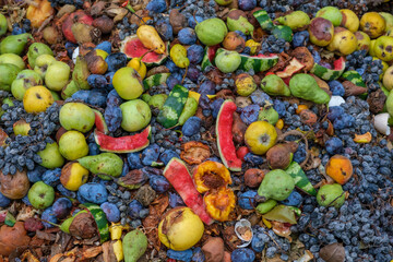 Domestic organic waste for compost from fruits and vegetables. Organic recycling food waste. Eco-Friendly Composting