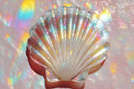 Iridescent shell transparent seashell pastel background rainbow light decorative object dreamy reflective ocean theme summer closeup magical mood