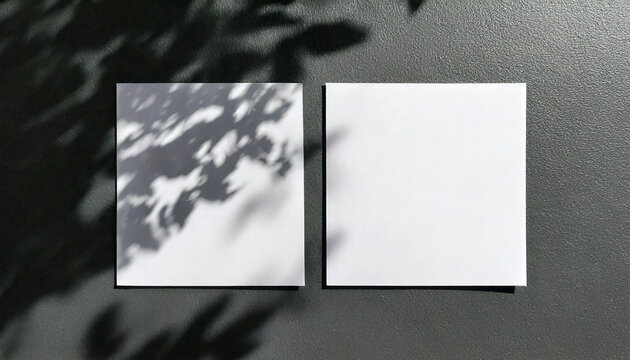Natural light casts shadows from the foliage of a tree on 2 square sheets of white paper lying on a
