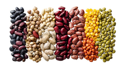 Colorful variety of dry beans placed side-by-side for comparison isolated on a Transparent background, PNG file.