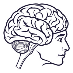 Human brain profile with facial features head face