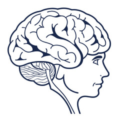 Human brain profile outline head