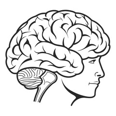 Human brain profile silhouette head