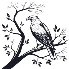 Majestic eagle perched on a dark tree branch bird