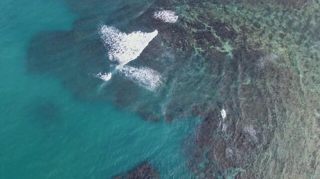 Overhead drone shot of vibrant fringing reef and turquoise ocean waters with tidal waves crashing during daytime.