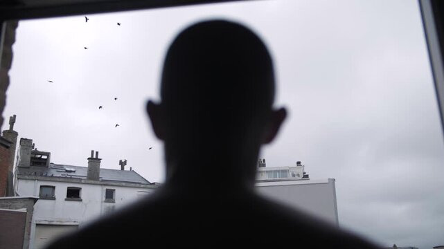 Silhouette man watches birds outside apartment window on quiet overcast urban morning