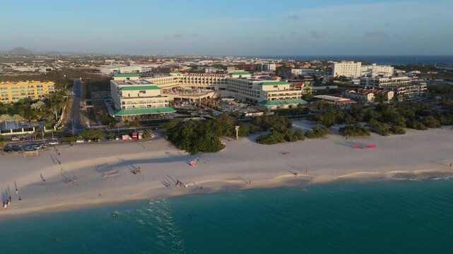 Turquoise waters and a Fofoti tree on the shores of Eagle Beach, Aruba